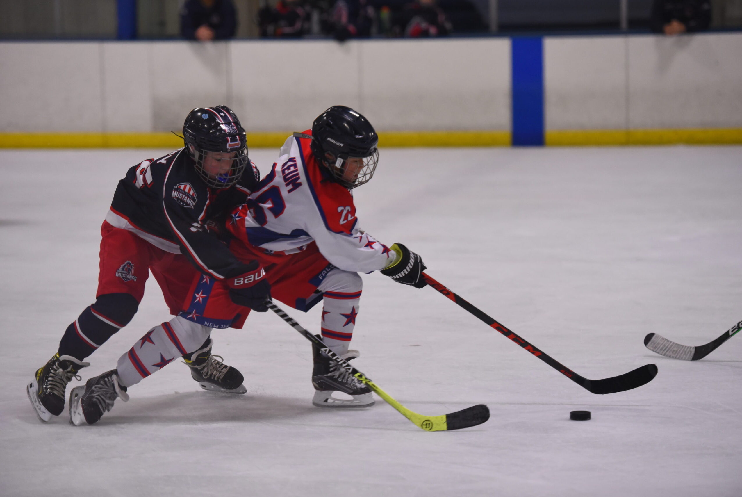 Youth Hockey Training New York City & New Jersey. New Jersey